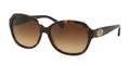 Coach Sunglasses, HC 8150 (L133), Dark Tortoise, Red On